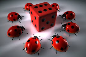 Casino Magnit